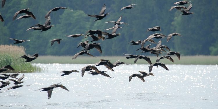 Zrodlo Wigierski Park Narodowy529314948 1205029488334343 2685117943724941894 n