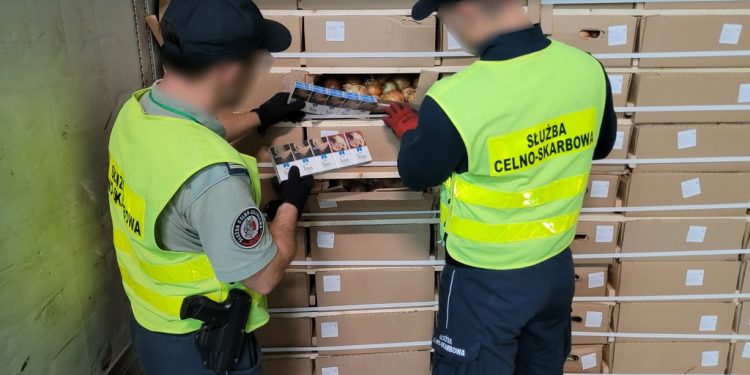 a55de9ca df42 49b1 9901 99d352239215