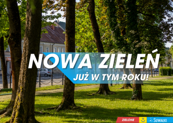 Zielone Suwałki – niebawem ruszają prace 7 20250904Zielone