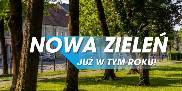 Zielone Suwałki – niebawem ruszają prace 1 20250904Zielone