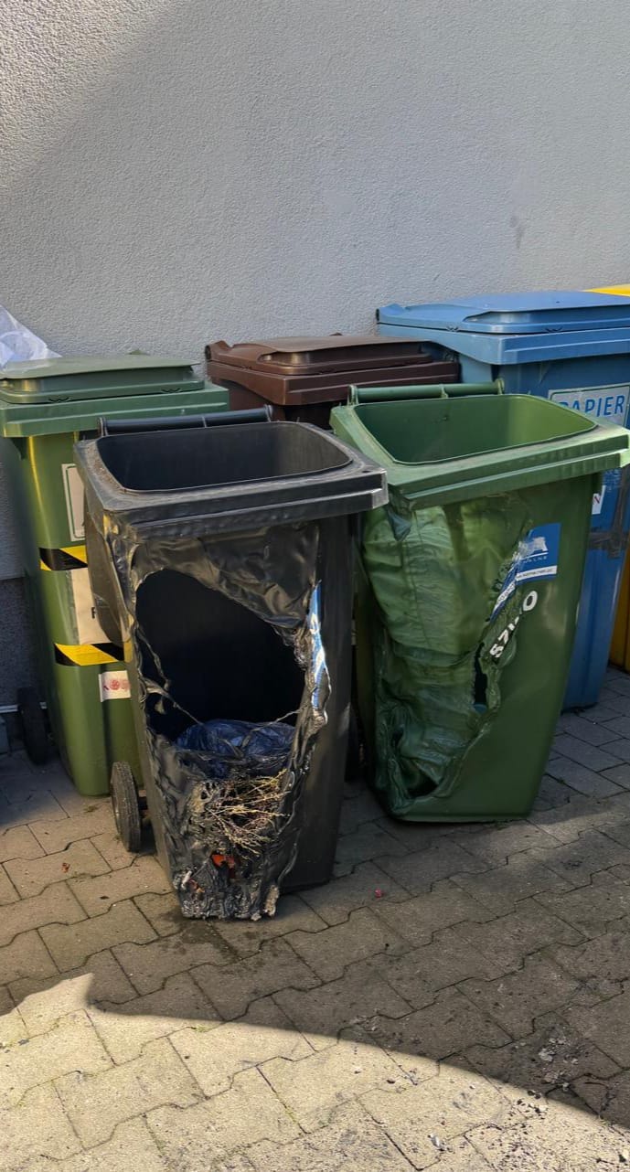 Podpalacz kontenerów na śmieci tymczasowo aresztowany 3 22