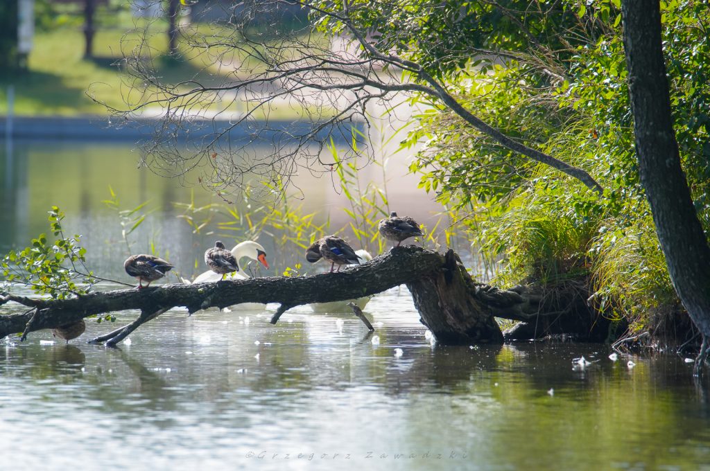 543406291 1227506059420019 7847648972744081150 n