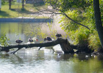 543406291 1227506059420019 7847648972744081150 n