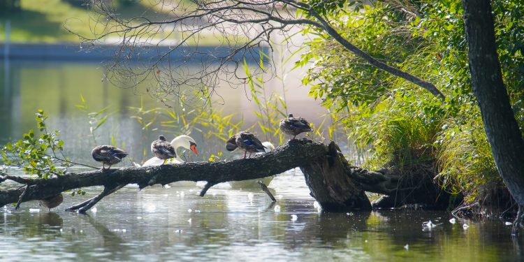 543406291 1227506059420019 7847648972744081150 n