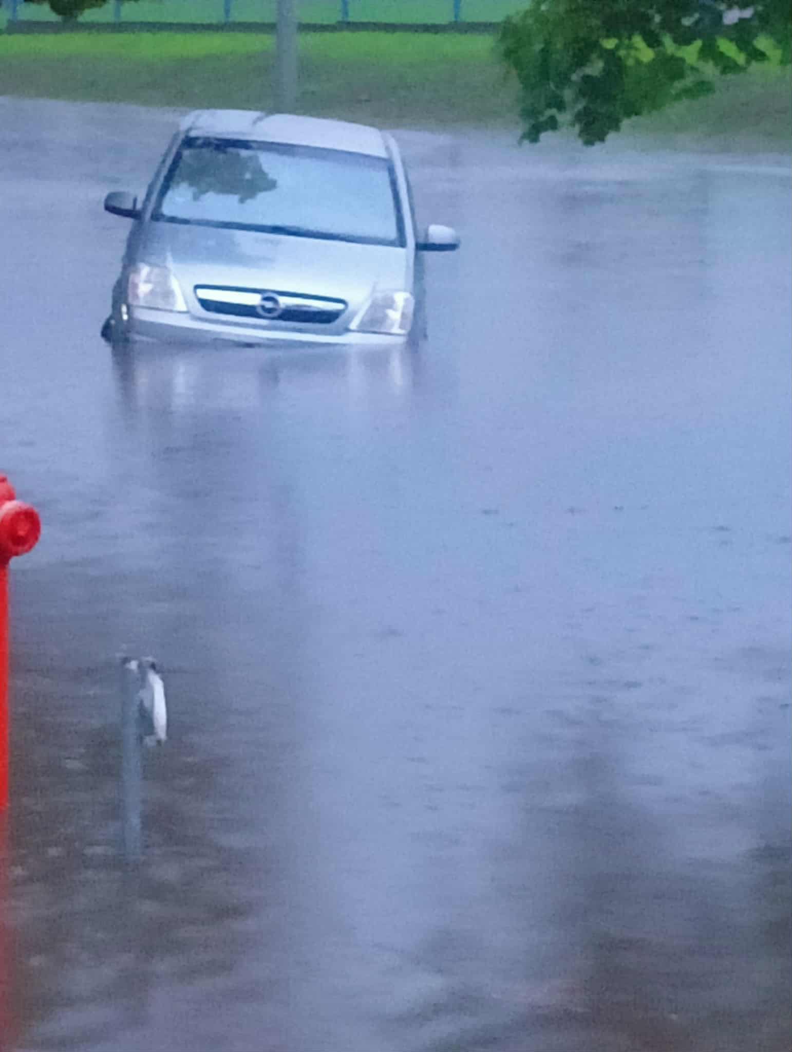 547274459 1089499926708173 3668450966574679318 n