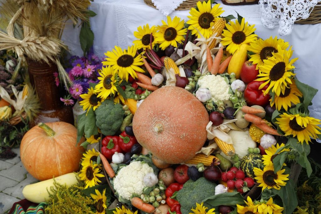 547684877 1270535771759953 1178084682413959249 n