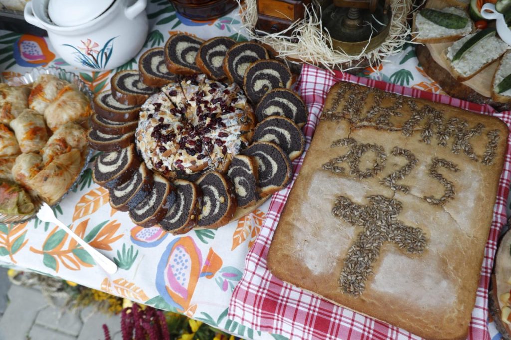 548215477 1270536161759914 4255756435302170751 n