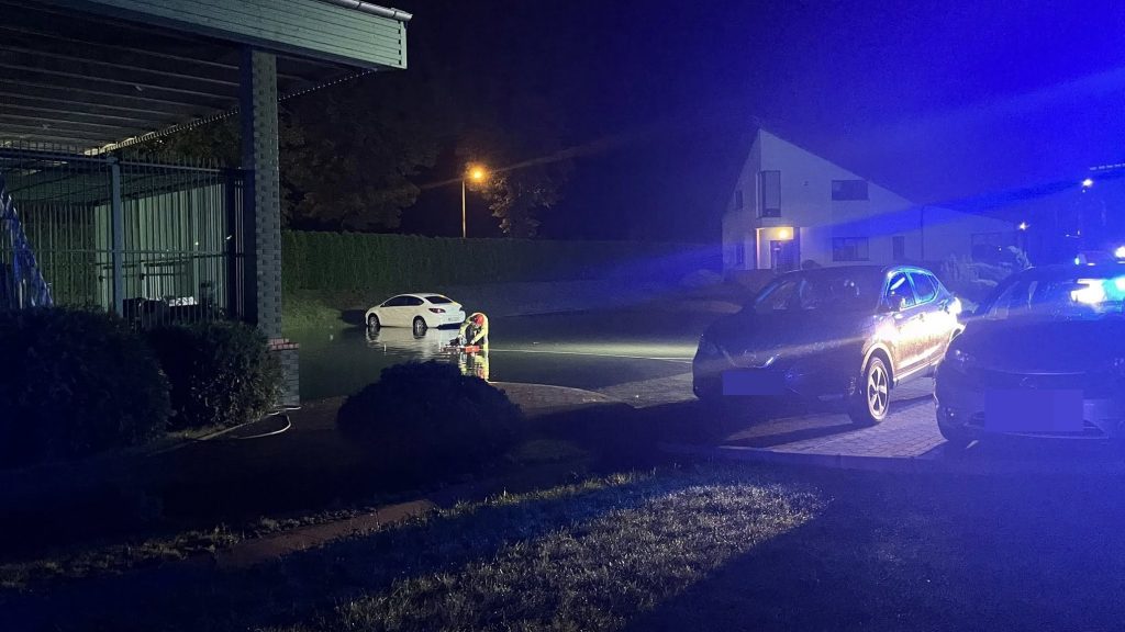 548523408 1089499966708169 7440866496300823541 n crop