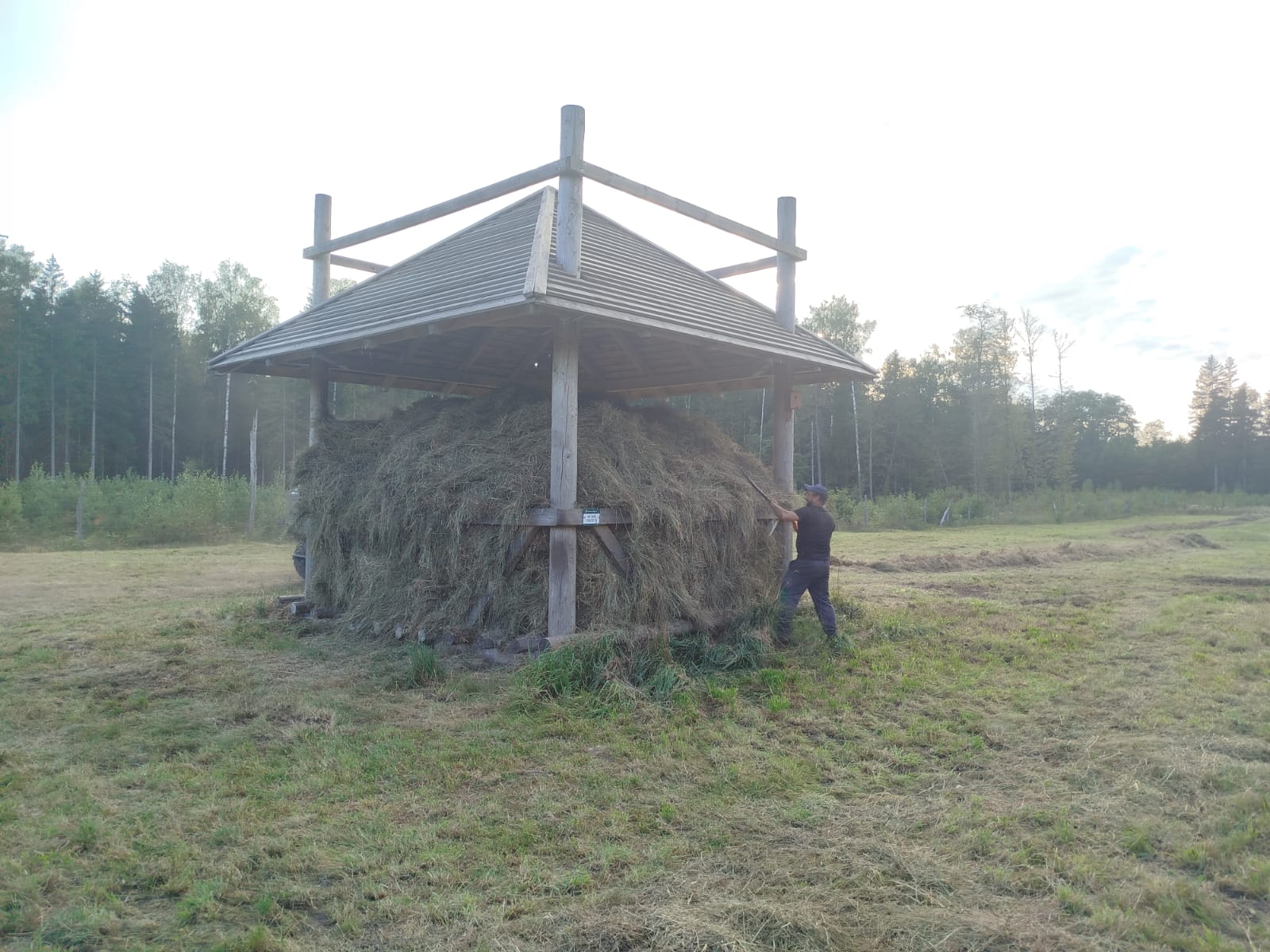 Żubrzy bufet szykuje na zimę Nadleśnictwo Augustów 3 552413432 122144678252837065 3484517248287590732 n