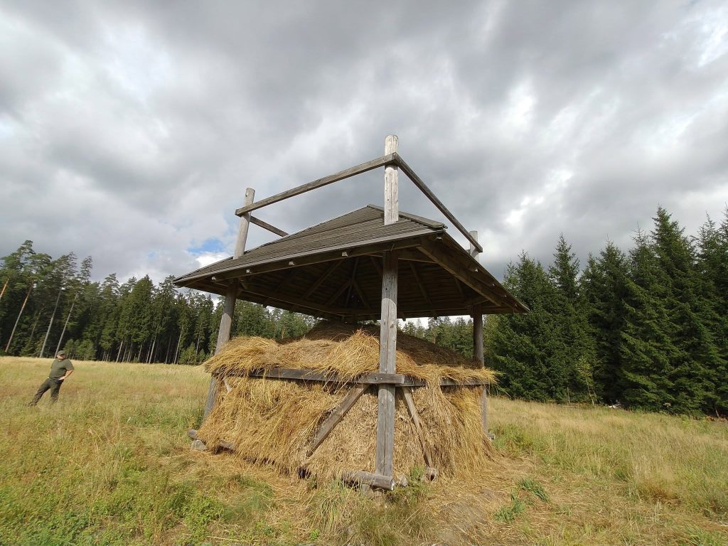 Żubrzy bufet szykuje na zimę Nadleśnictwo Augustów 4 552772304 122144678330837065 2790230510717635663 n