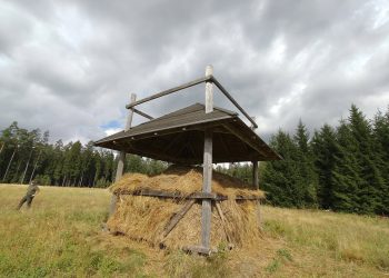 FB Nadleśnictwa Augustów - Joanna Jadeszko