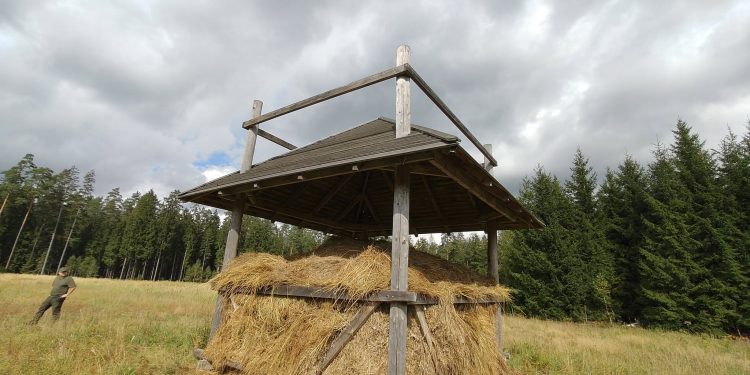 Żubrzy bufet szykuje na zimę Nadleśnictwo Augustów 1 FB Nadleśnictwa Augustów - Joanna Jadeszko