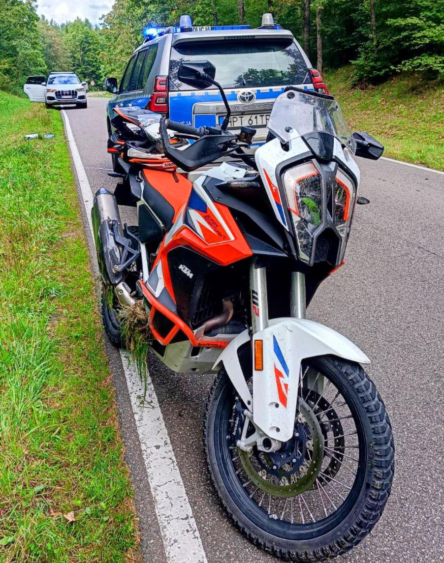 Zderzenie motocyklisty z dziką zwierzyną na trasie Ukta-Mikołajki 2 555965447 746066958441382 566249627472717779 n