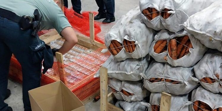 Bialoruskie papierosy przemycali w marchwii