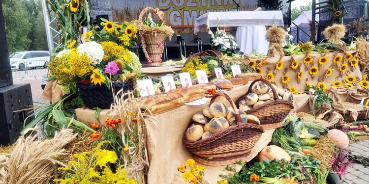 Gmina Goldap podziekowala za plony 12