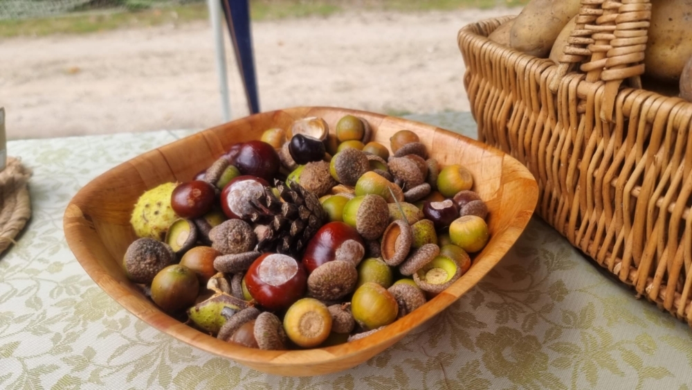 Piknik Rodzinny Ziemniaka i Buraka 44 Piknik Rodzinny Ziemniaka i BurakaPiknik Rodzinny Ziemniaka i Buraka5ea26028 0b72 44e5 a681 c2855a5ed8e3