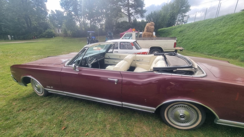 Piknik Rodzinny Ziemniaka i Buraka 17 Piknik Rodzinny Ziemniaka i BurakaPiknik Rodzinny Ziemniaka i Burakab44bd07e 2824 4790 b2c1 1a3954309413