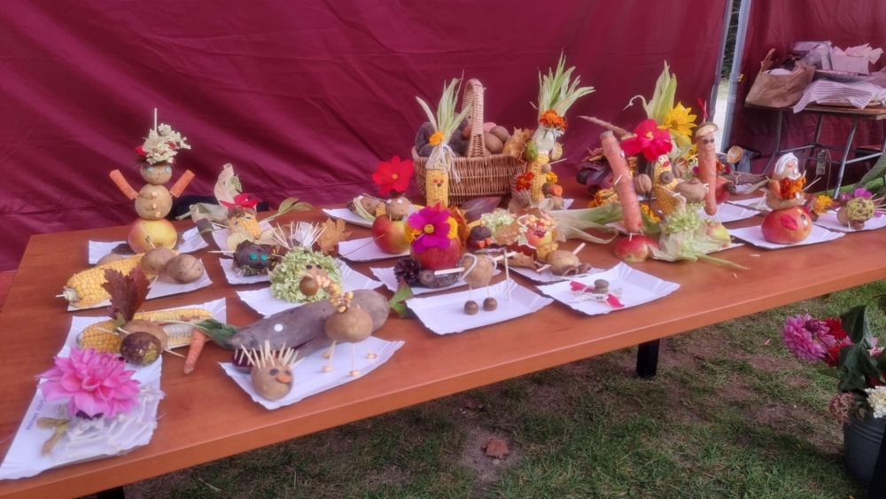 Piknik Rodzinny Ziemniaka i Buraka 10 Piknik Rodzinny Ziemniaka i BurakaPiknik Rodzinny Ziemniaka i Burakad0f2be48 357a 4952 b1be 559473c6c75d