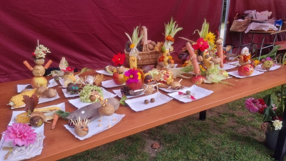 Piknik Rodzinny Ziemniaka i Buraka 7 Piknik Rodzinny Ziemniaka i BurakaPiknik Rodzinny Ziemniaka i Burakae344f9b4 45c4 401e 9c20 812b2baaf3c2