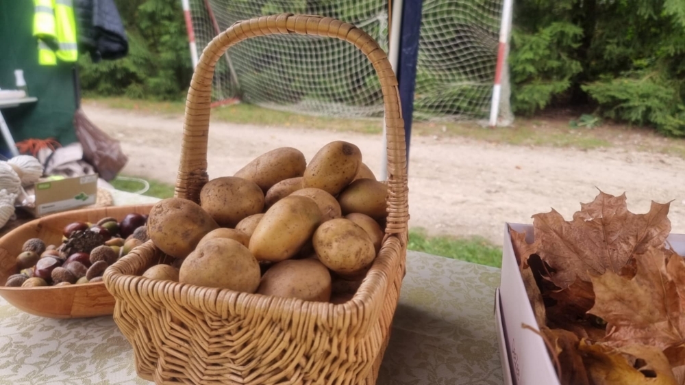Piknik Rodzinny Ziemniaka i Buraka 8 Piknik Rodzinny Ziemniaka i BurakaPiknik Rodzinny Ziemniaka i Burakae9e7a108 a4f0 44b3 a1df 4363944bbf43