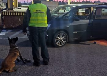 Prawie 10 tysiecy paczek papierosow 5