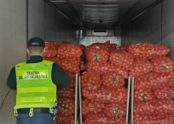 b9eb1706 d45b 40f1 aa35 337d4390a918