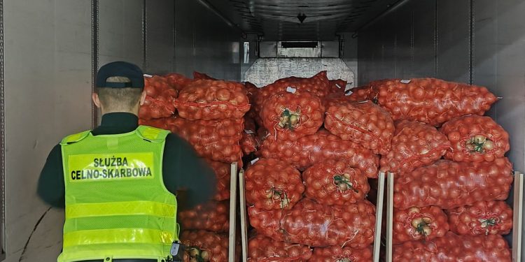 b9eb1706 d45b 40f1 aa35 337d4390a918