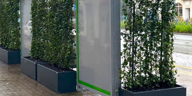 Policjanci zatrzymali ełczanina, który zniszczył miejską zieleń 1 zdj. UM w Ełku