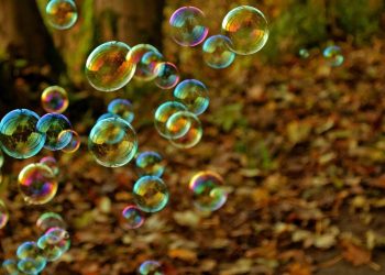 Zdjęcie ilustracyjne/Fot. Pixabay