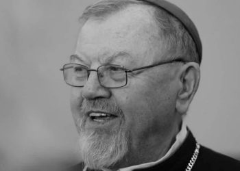 Diecezja drohiczyńska