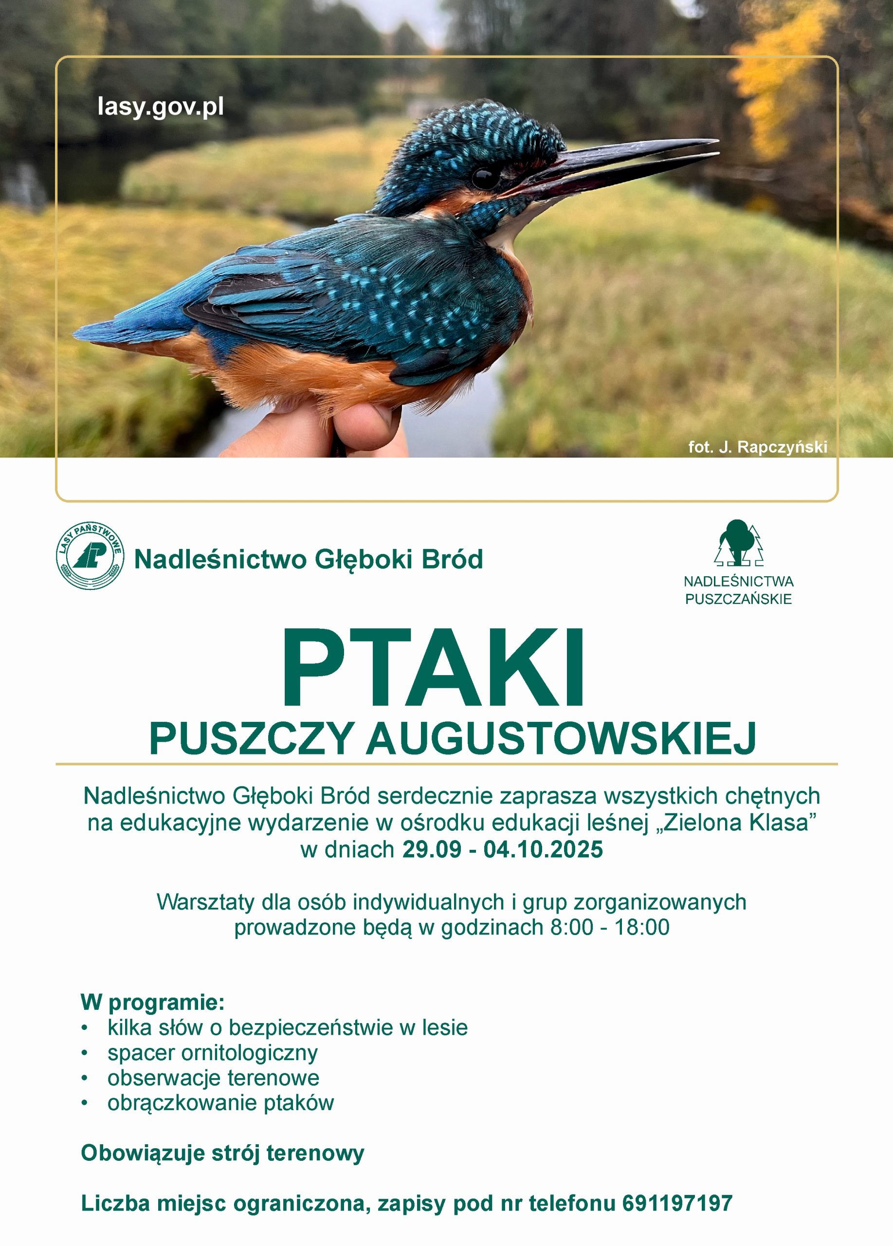 plakat na strone scaled