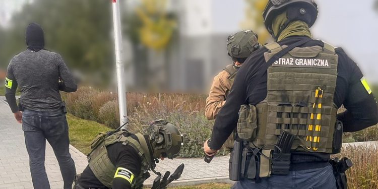 Przechwycili ponad 16 kilogramów narkotyków 1 zatrzymanie 1 crop