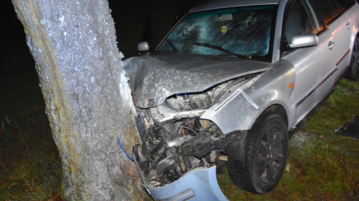 Uderzył w drzewo. Miał ponad promil 4 101 291450 crop