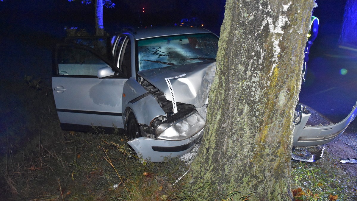 Uderzył w drzewo. Miał ponad promil 2 101 291451 crop