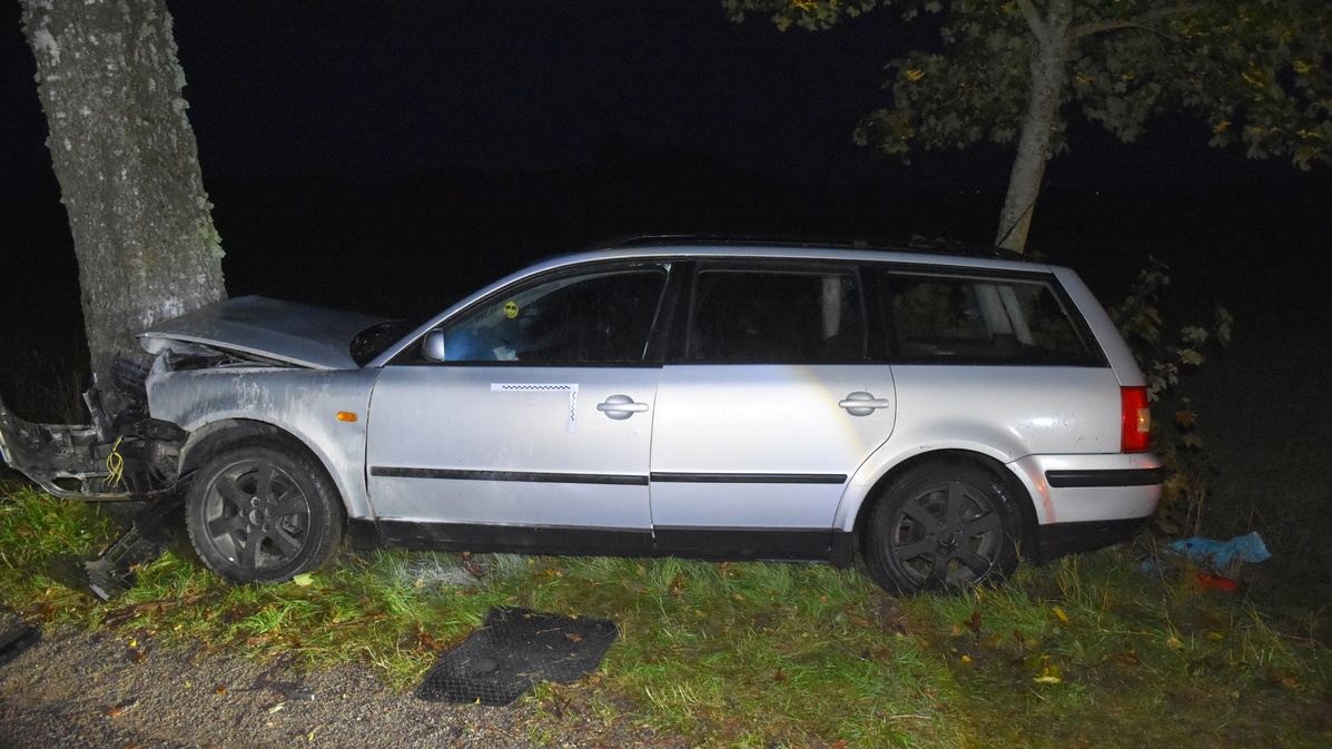 Uderzył w drzewo. Miał ponad promil 3 101 291452 crop