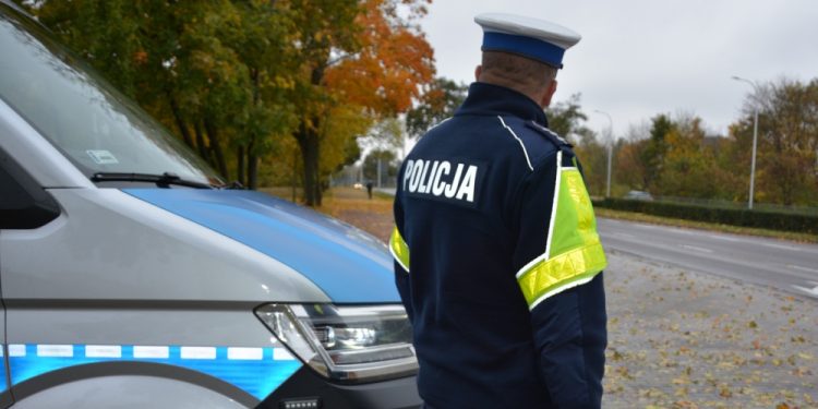 Plaga kolizji ze zwierzętami w powiecie suwalskim 1 KMP Suwałki