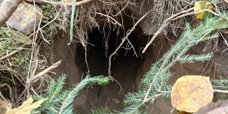 Tunel z Białorusi do Polski (film) 1 SG