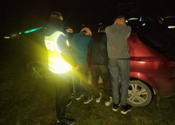 Kolejni „kurierzy” nielegalnych migrantów zatrzymani 7 15 332699