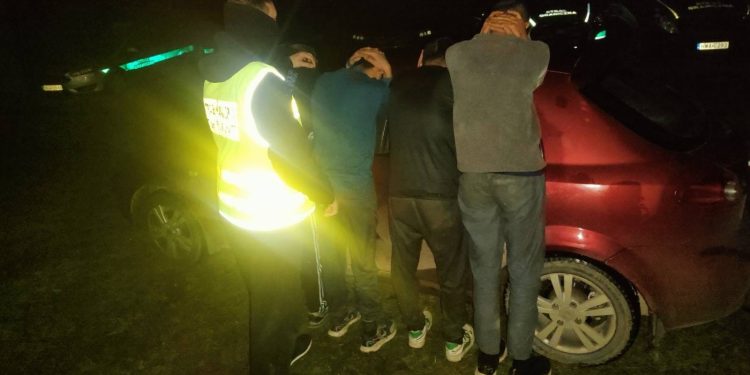 Kolejni „kurierzy” nielegalnych migrantów zatrzymani 1 15 332699