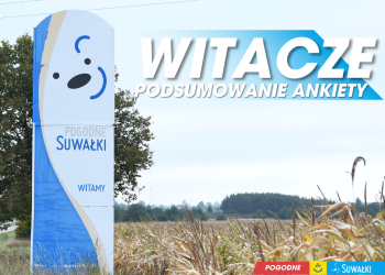 źródło: UM Suwałki
