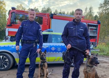 Psy tropiące pomogły odnaleźć 51-latka