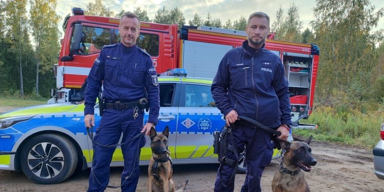 Psy tropiące pomogły odnaleźć 51-latka