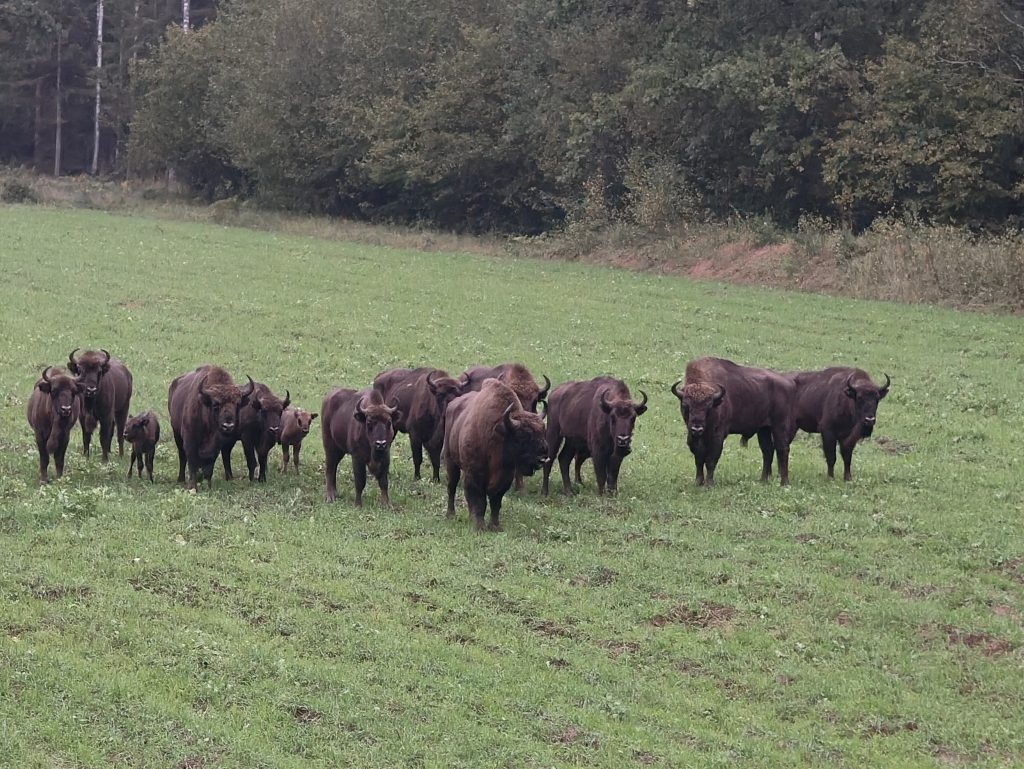 553395933 122144833088837065 8482235946205998581 n