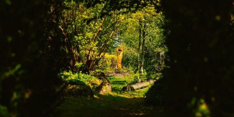 Ponad 44 miliony na ochronę bioróżnorodności 1 UMWP