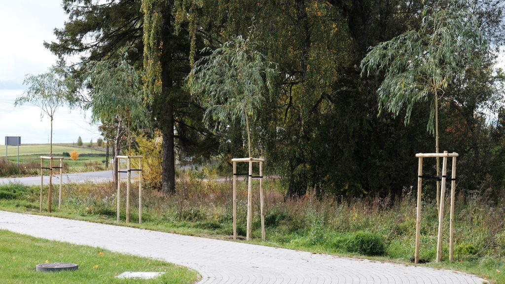 560420931 122167142108433344 6630280537502504005 n