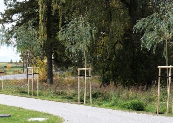 560420931 122167142108433344 6630280537502504005 n