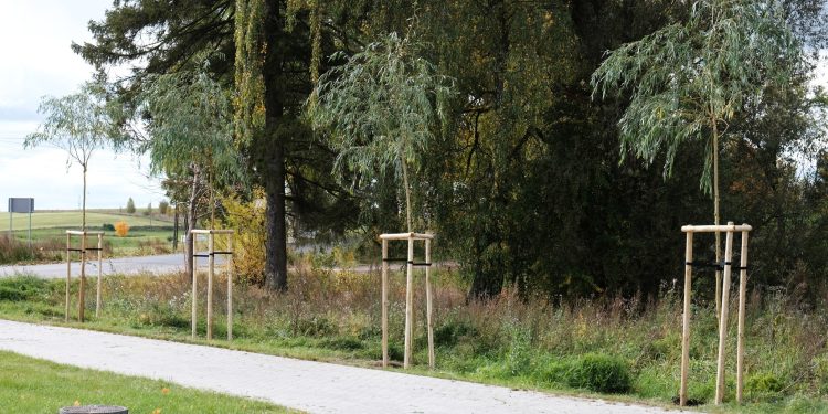 560420931 122167142108433344 6630280537502504005 n