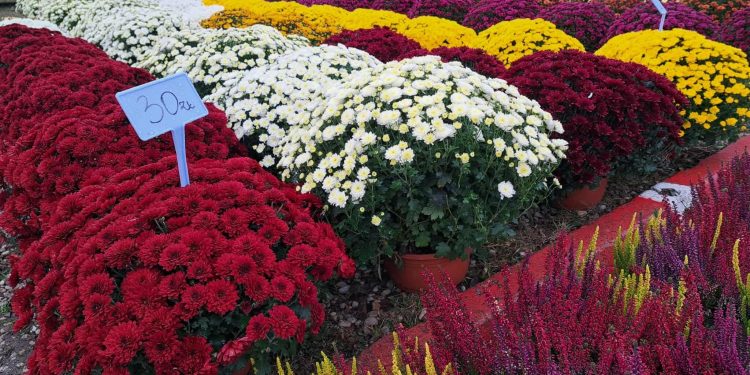 Zdjęcie ilustracyjne/Fot. Radio 5