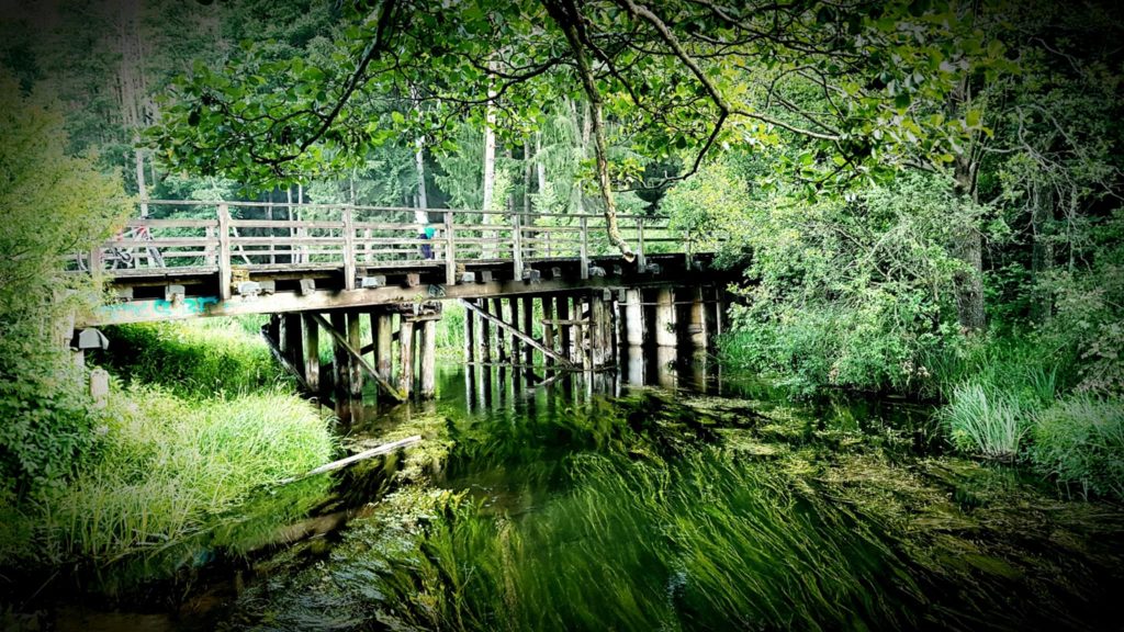 Wyremontują most w Świętym Miejscu nad Rospudą 1 Autor: Szymon Kozicz