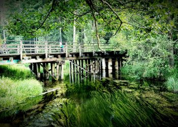 Autor: Szymon Kozicz